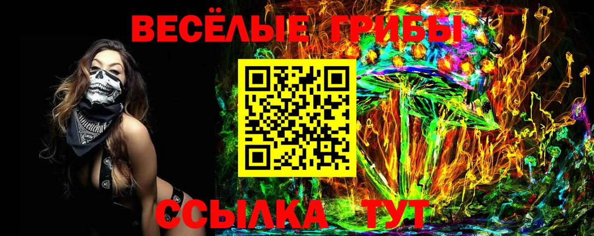 Реж  Псилоцибиновые грибы мухоморы  Вход с VPN 